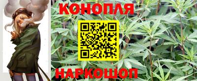 PSILOCYBIN Белорецк