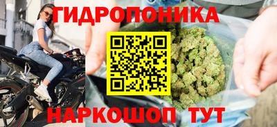 PSILOCYBIN Белорецк