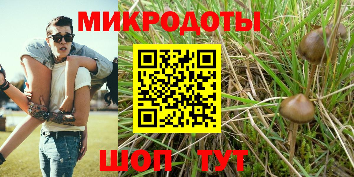 Псилоцибиновые грибы прущие грибы Алексеевка
