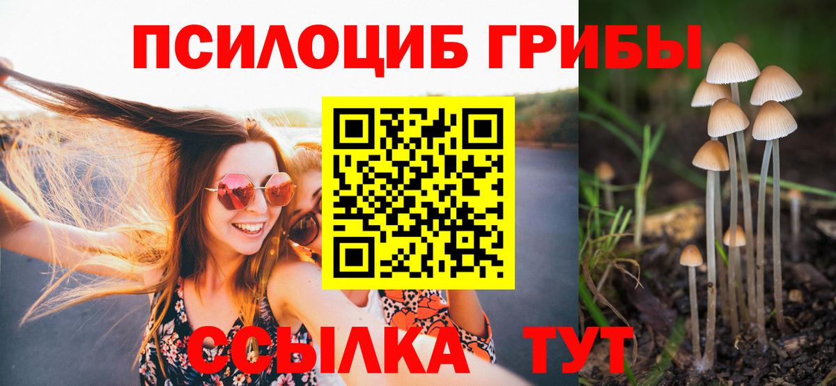 Алексеевка  Псилоцибиновые грибы MAGIC MUSHROOMS  Вход с VPN 